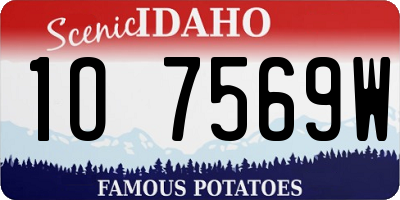 ID license plate 1O7569W