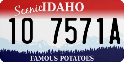 ID license plate 1O7571A