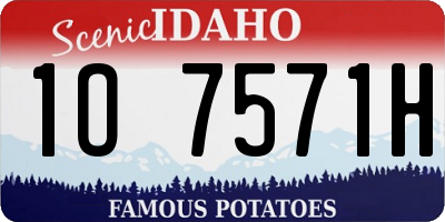 ID license plate 1O7571H