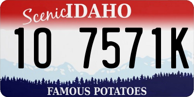 ID license plate 1O7571K