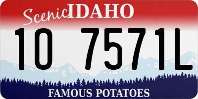 ID license plate 1O7571L