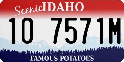 ID license plate 1O7571M