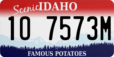 ID license plate 1O7573M
