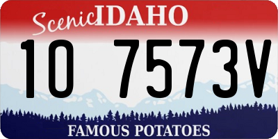 ID license plate 1O7573V