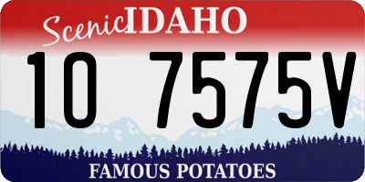 ID license plate 1O7575V