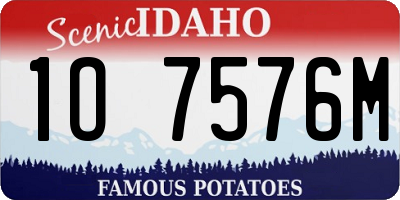 ID license plate 1O7576M