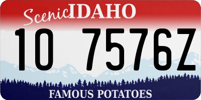 ID license plate 1O7576Z