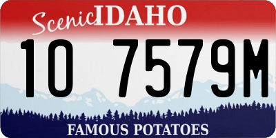 ID license plate 1O7579M