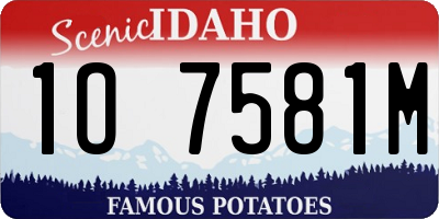 ID license plate 1O7581M