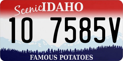 ID license plate 1O7585V