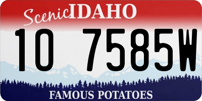 ID license plate 1O7585W