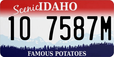 ID license plate 1O7587M