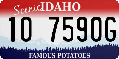 ID license plate 1O7590G