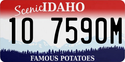 ID license plate 1O7590M