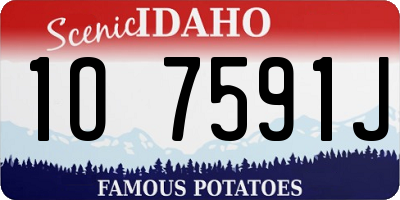 ID license plate 1O7591J