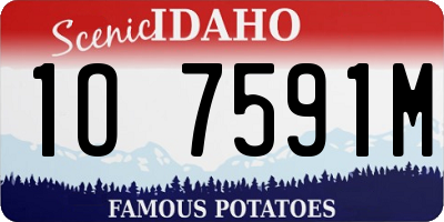 ID license plate 1O7591M