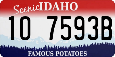 ID license plate 1O7593B