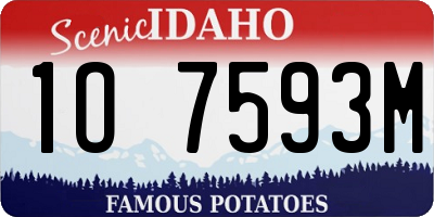 ID license plate 1O7593M