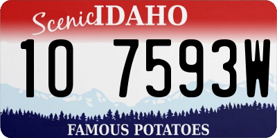 ID license plate 1O7593W