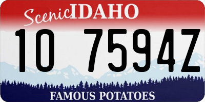 ID license plate 1O7594Z