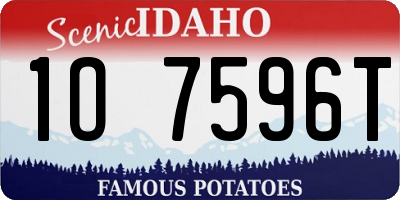 ID license plate 1O7596T