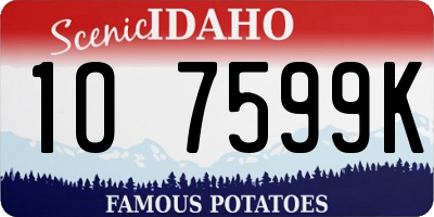 ID license plate 1O7599K