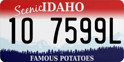 ID license plate 1O7599L