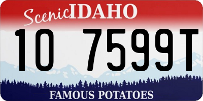 ID license plate 1O7599T