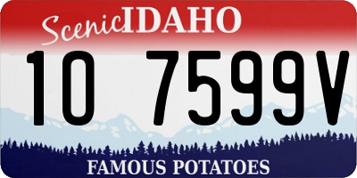 ID license plate 1O7599V