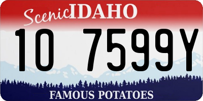 ID license plate 1O7599Y