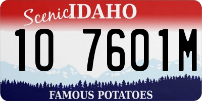 ID license plate 1O7601M
