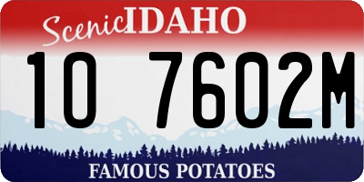 ID license plate 1O7602M