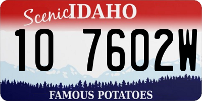 ID license plate 1O7602W