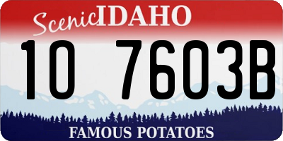 ID license plate 1O7603B
