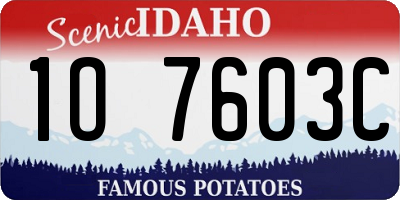 ID license plate 1O7603C