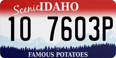 ID license plate 1O7603P