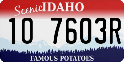 ID license plate 1O7603R