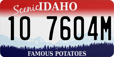 ID license plate 1O7604M