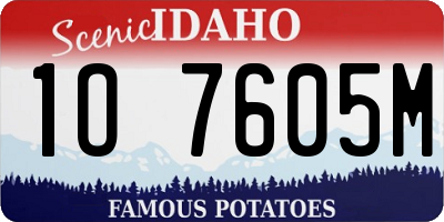 ID license plate 1O7605M