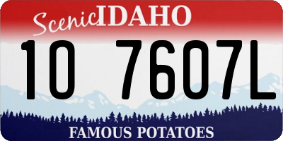 ID license plate 1O7607L