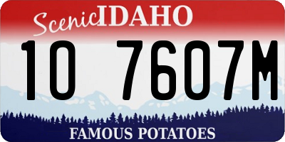 ID license plate 1O7607M