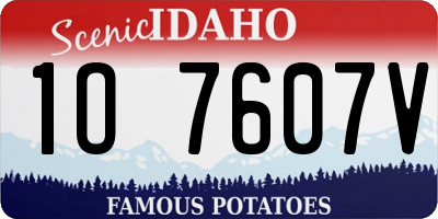 ID license plate 1O7607V