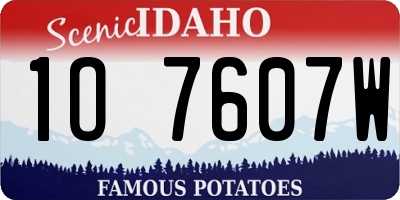 ID license plate 1O7607W