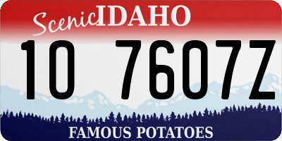 ID license plate 1O7607Z
