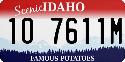 ID license plate 1O7611M