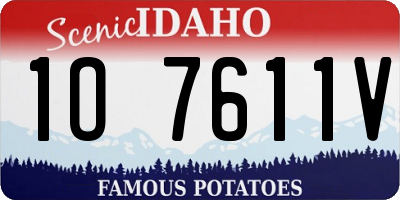 ID license plate 1O7611V