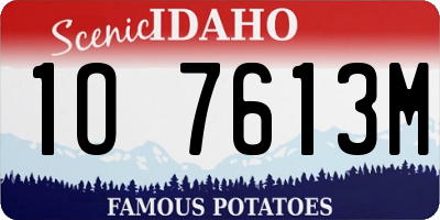 ID license plate 1O7613M