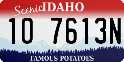 ID license plate 1O7613N