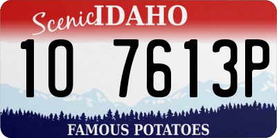 ID license plate 1O7613P