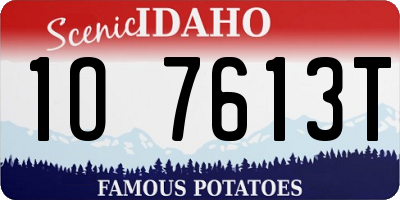 ID license plate 1O7613T
